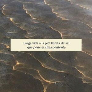 Meet your Posher, Lizeth